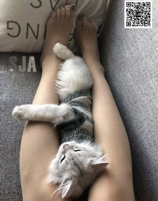 最新黄网站_剧情片在线手机播放
